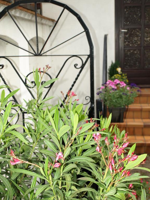 Ferienwohnung Klatschmohn شباير المظهر الخارجي الصورة