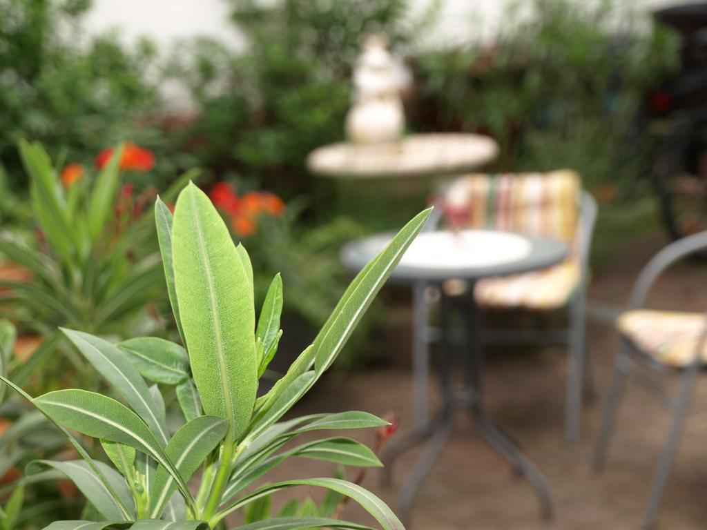 Ferienwohnung Klatschmohn شباير المظهر الخارجي الصورة